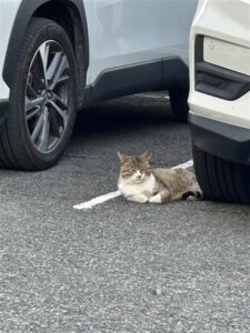 もうそろそろ年度末が終わります